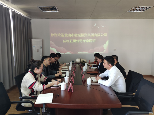 4月21日，集團(tuán)黨委委員、常務(wù)副總經(jīng)理，公司董事長兼總經(jīng)理方亮帶隊(duì)赴黟縣考察“黟品五黑”區(qū)域公用品牌運(yùn)營推廣機(jī)制和“五黑”農(nóng)業(yè)特色產(chǎn)業(yè)發(fā)展情況.jpg