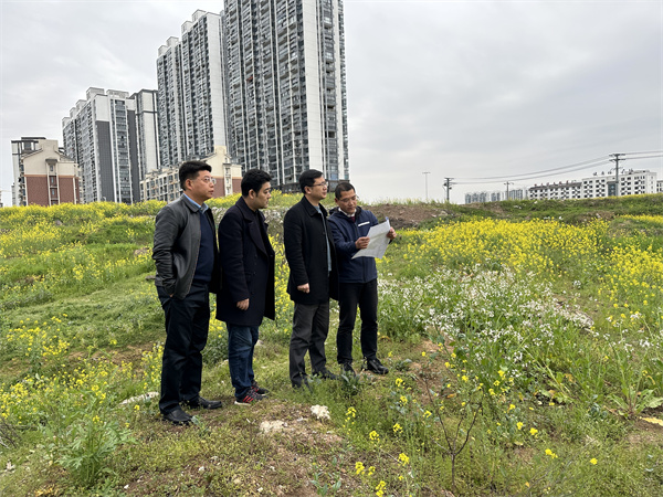3月29日，張總陪同汪盛縣長調(diào)度揚之學(xué)校征地.jpg